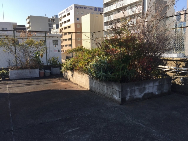 屋上修繕工事前１