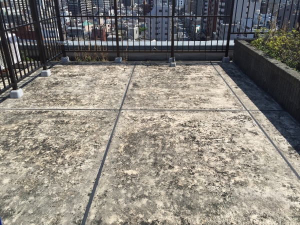 屋上防水工事（施工前）